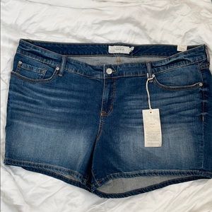 Torrid blue Jean shorts